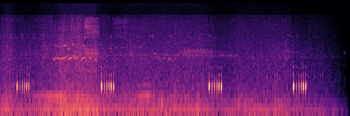 Spectrogram: Sooty Grouse Near Microphone